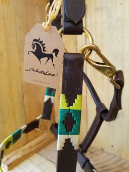 Lemon lime twist, leather Argentinian Polo halter 